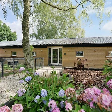 Bos En Beek Bed and Breakfast Ulvenhout Exteriör bild